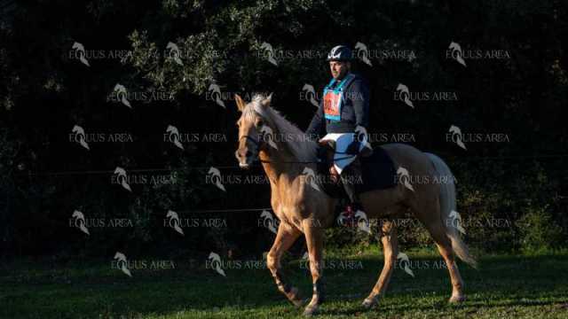 TREC02-06082024-127