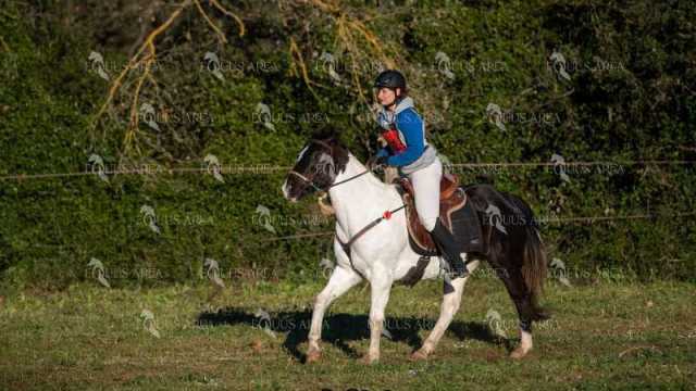TREC02-06082024-128