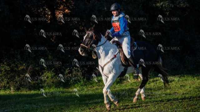 TREC02-06082024-129