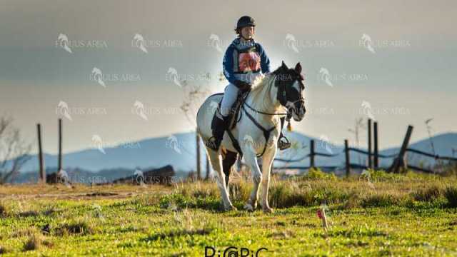 TREC02-06082024-130