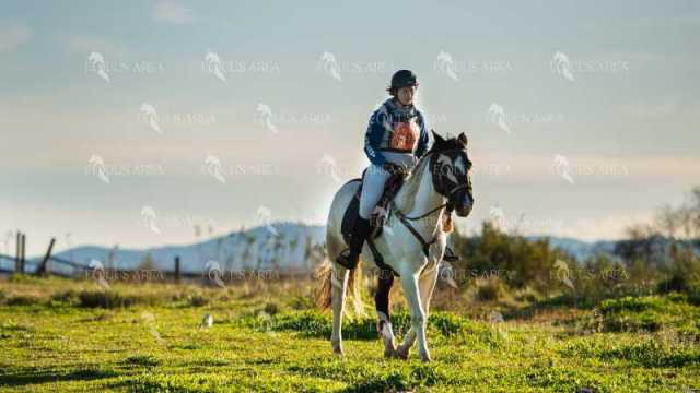 TREC02-06082024-131