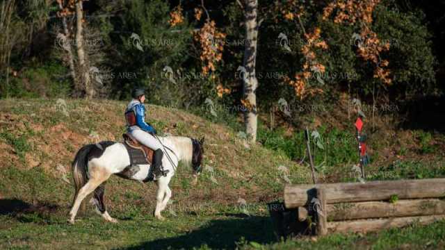 TREC02-06082024-132