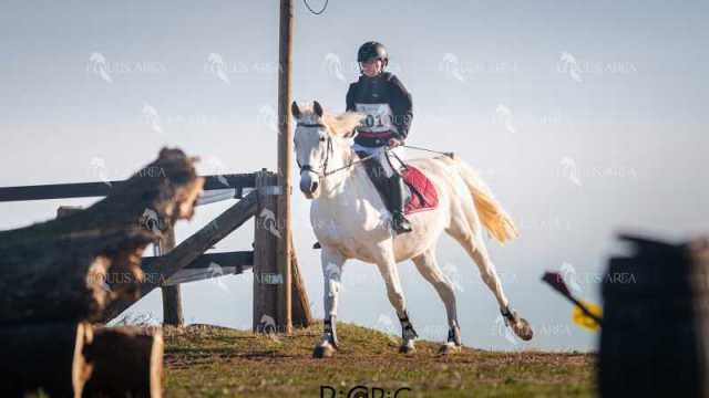 TREC02-06082024-136