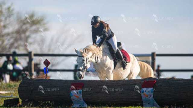 TREC02-06082024-137