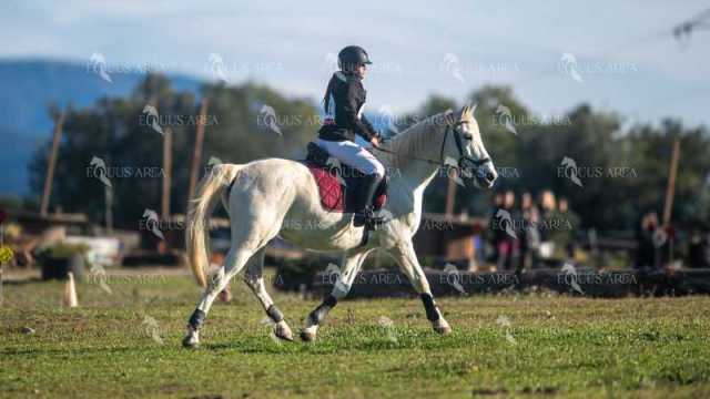TREC02-06082024-138