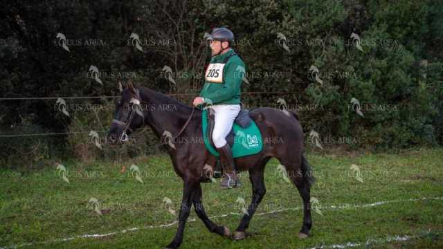 TREC02-06082024-14