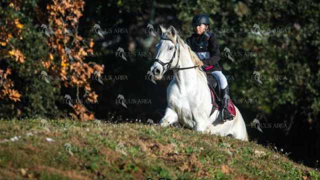TREC02-06082024-140