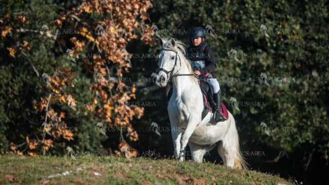 TREC02-06082024-141