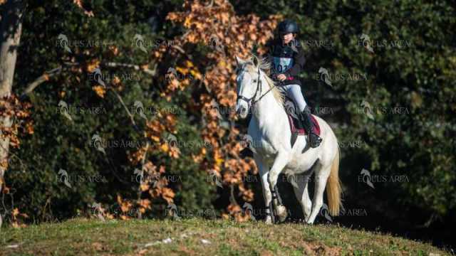 TREC02-06082024-142