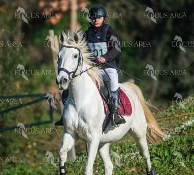 TREC02-06082024-143