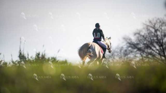 TREC02-06082024-144