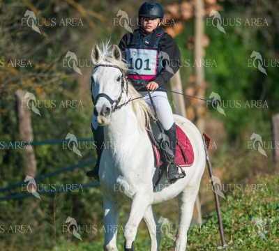 TREC02-06082024-145