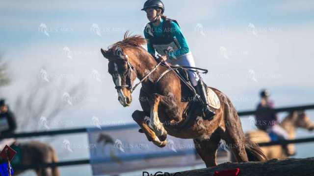 TREC02-06082024-146