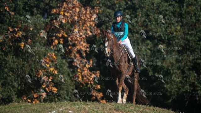 TREC02-06082024-148