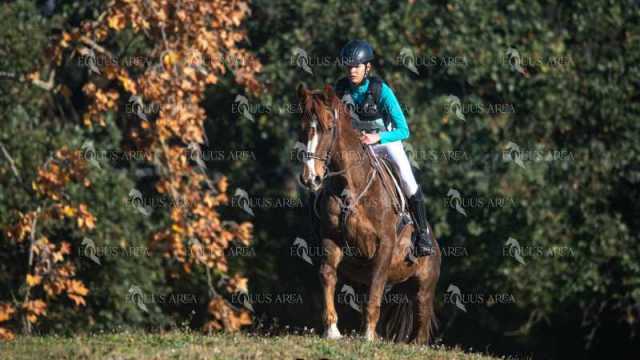 TREC02-06082024-149