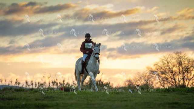 TREC02-06082024-15