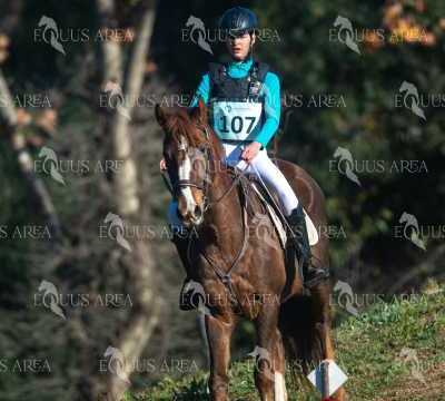 TREC02-06082024-151