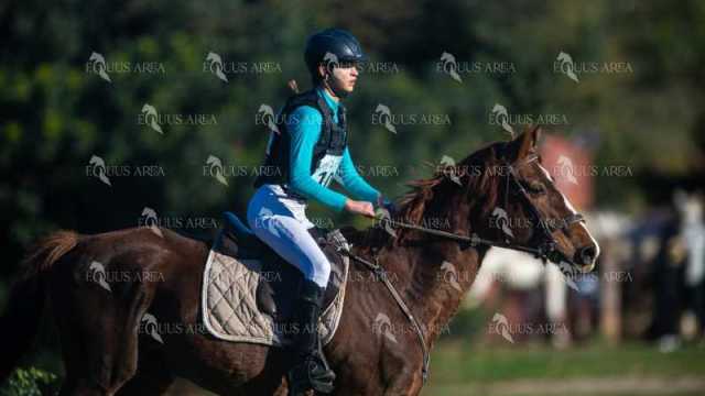 TREC02-06082024-152