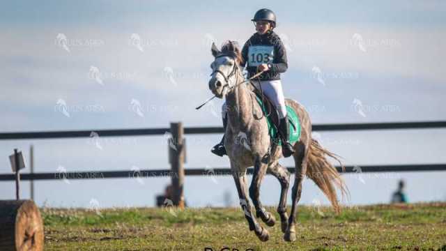 TREC02-06082024-153