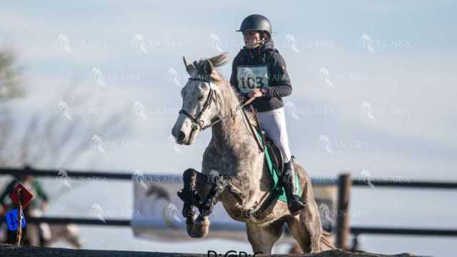 TREC02-06082024-155