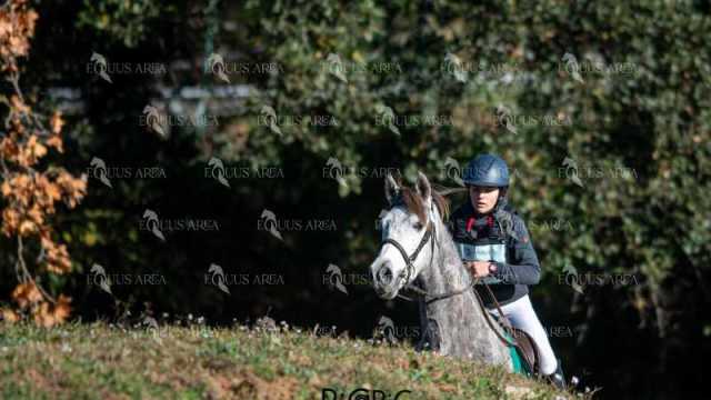TREC02-06082024-156