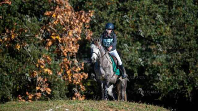 TREC02-06082024-157
