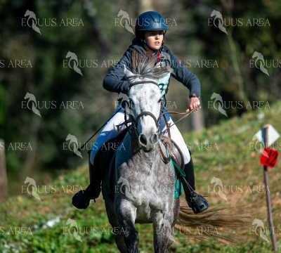 TREC02-06082024-159