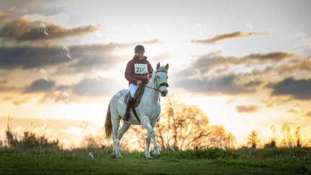 TREC02-06082024-16