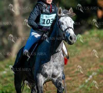 TREC02-06082024-160