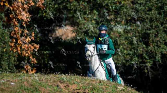 TREC02-06082024-163