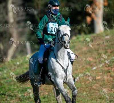 TREC02-06082024-169