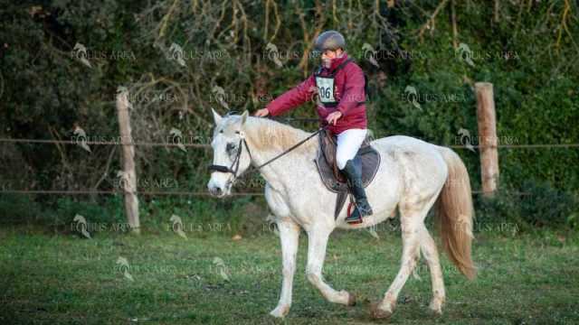 TREC02-06082024-17
