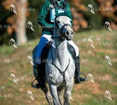 TREC02-06082024-172