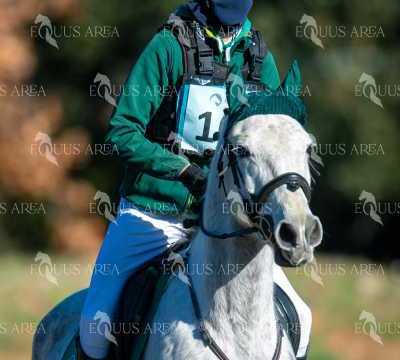 TREC02-06082024-173