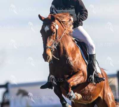 TREC02-06082024-178