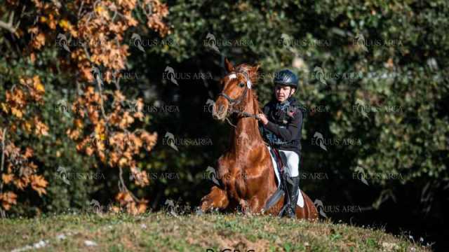 TREC02-06082024-182