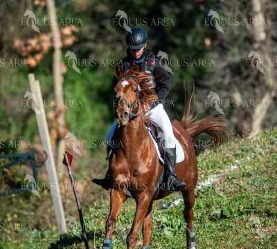 TREC02-06082024-186