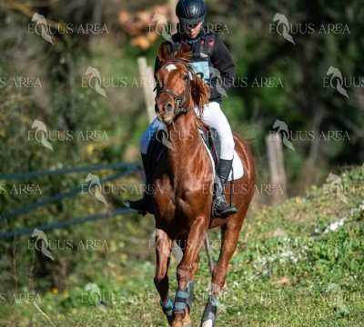 TREC02-06082024-187