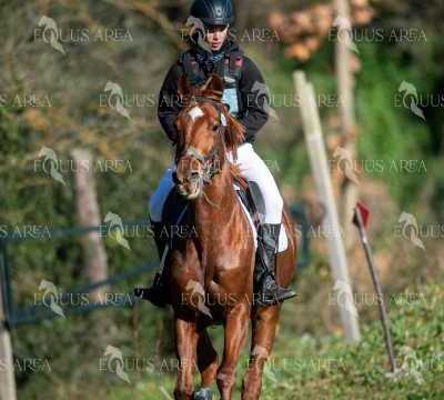 TREC02-06082024-188