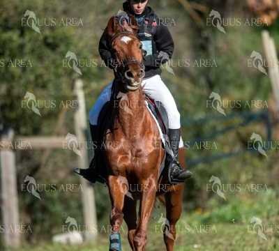 TREC02-06082024-189