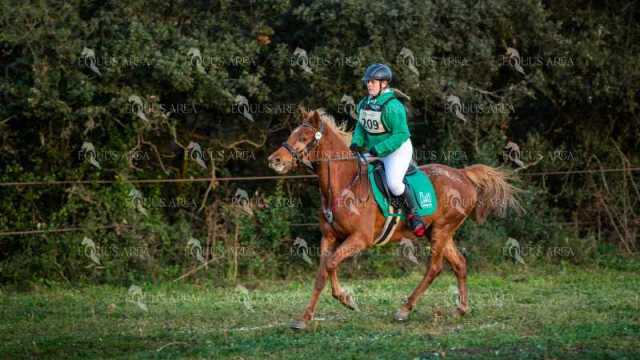 TREC02-06082024-19