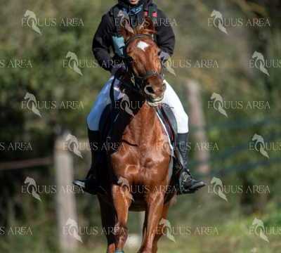 TREC02-06082024-190