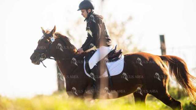 TREC02-06082024-192