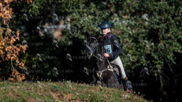 TREC02-06082024-196