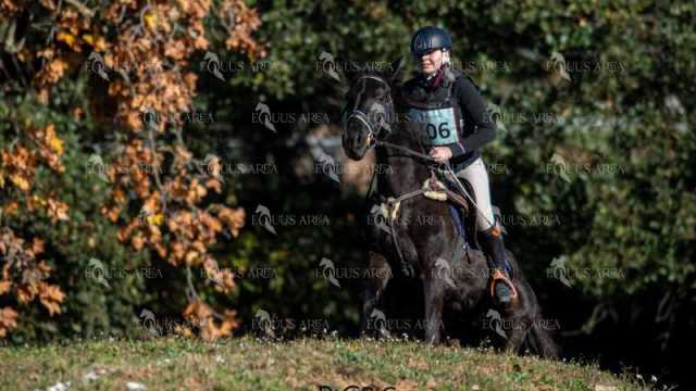 TREC02-06082024-197