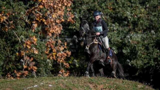 TREC02-06082024-198