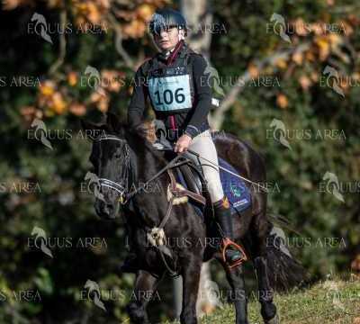 TREC02-06082024-199
