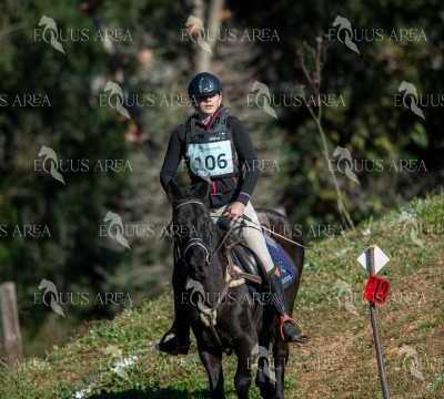 TREC02-06082024-201