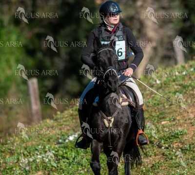 TREC02-06082024-203