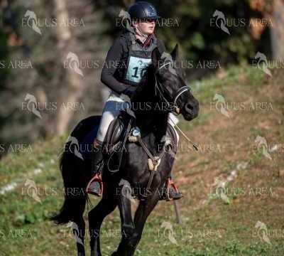 TREC02-06082024-204